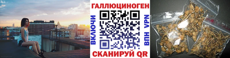 Псилоцибиновые грибы Psilocybe  omg вход  Дюртюли 